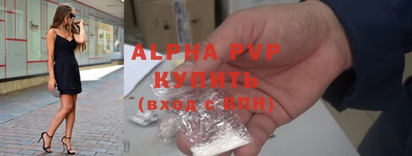 экстази Бородино