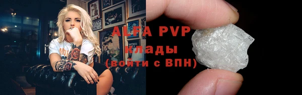 экстази Бородино